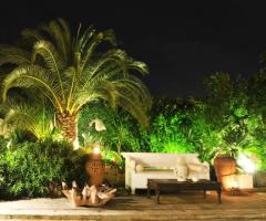 Plenilunio alla Fortezza - Giardino con palme