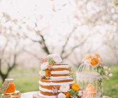 Il Giardino dei Sogni - Allestimento floreale per il matrimonio