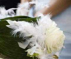 Rosa bianca con piume