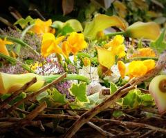 Fiori per allestire il ricevimento di nozze