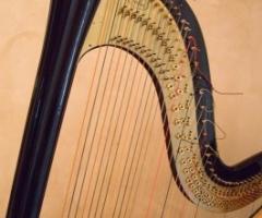 Arpa per il ricevimento di matrimonio