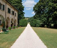 Esterno - Villa Isola