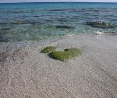 Viaggi indimenticabili - Il viandante viaggi e turismo