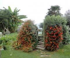 Ingresso alla piscina