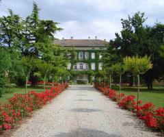 Tenuta di Angoris - Villa Locatelli per matrimoni a Gorizia