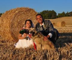 Servizio fotografico di matrimoniocon il proprio amico a 4 zampe