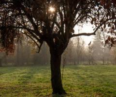 Il suggestivo scenario naturale di Villa Horti della Fasanara al tramonto
