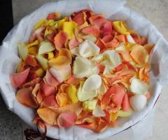 Cesto di petali.
 - L'angolo Fiorito