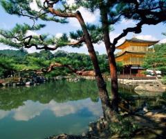 Tour operator per viaggi di nozze a Roma