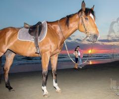 foto cavallo by Nicola Improda