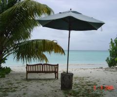 Foto prese dai nostri viaggi