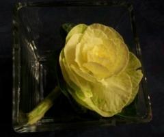 Matì Eventi - Wedding planner a Bologna