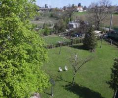 Hotel Villa Viola - Un vista del parco