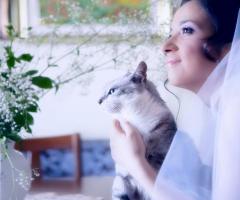 Foto Fashion di Francesco Rimmaudo - Una sposa con il suo gattino