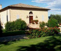 Esterno - Villa san Nicolino