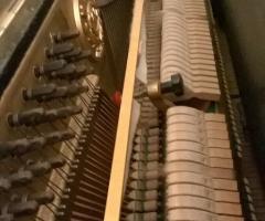 Frank & Luly - Musica pianoforte