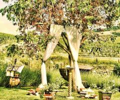 Arezzo Live Music - Cerimonie simboliche all'aperto