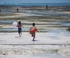 Costanza Demaldè CartOrange - Esperienze