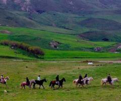 Ampio parco per passeggiata a cavallo presso l'agriturismo per ricevimento di matrimonio L'Airone