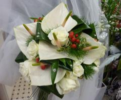 Bouquet calle bianche