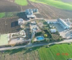 L'Agriturismo Casa Mia visto dall'alto