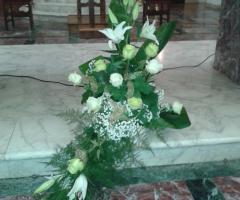 50° - Fioreria Joy Pet & Garden