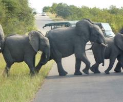 Sudafrica - Scoprimondo viaggi