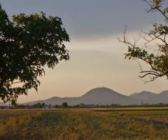 Vista sui Colli Euganei