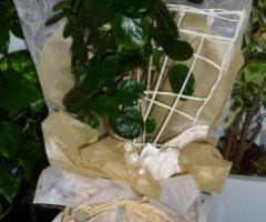 Composizione floreale per il matrimonio