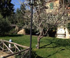 I Giardini di Villa Maria - Balza dei limoni