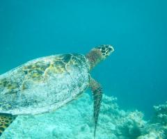 Maldive
Al cuore del mondo