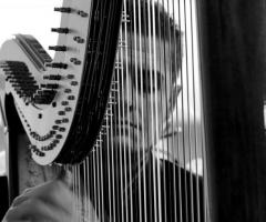 Andrea Bonaldo mentre suona l'arpa ad un ricevimento