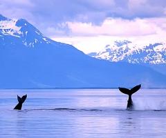 Agenzia viaggi a Verona