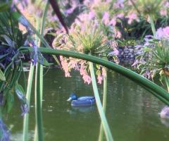 Il laghetto della villa