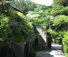 Matrimonio in giardino a Roma