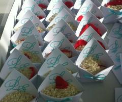 Coni portariso a Padova