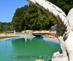 particolare della piscina