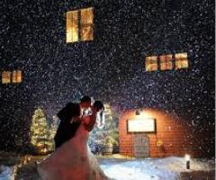 Liberty International - Winter wedding