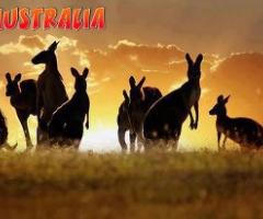 Diodoro Travel - Agenzia specializzata in viaggi di nozze in Australia