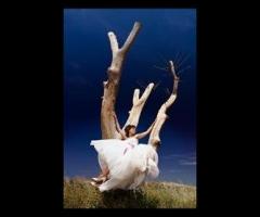 Foto Giattino - Particolare immagine di una sposa su un albero