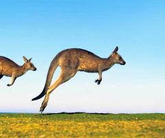 Australia - Emozioni nel Mondo