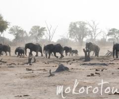 Mokoro Tours - Agenzia per viaggi di nozze in Africa