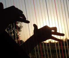 Elena Biasi Arpista - Musica nozze