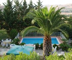 Piscina e palma per un ambiente sereno