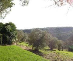 La vista - Villa Agliano