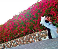 Passeggiata degli sposi nei giardini