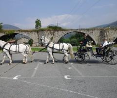 Azienda Marocco - Carrozza con cavalli ungheresi