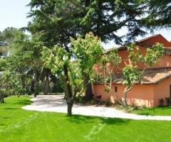 Frutteto della tenuta per ricevimenti di matrimonio