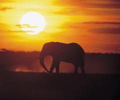 Parco Kruger - Sud Africa - Madame Voyage