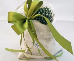 Il Giardino delle Fate - Piantine ornamentali e confezioni personalizzate